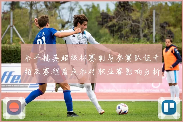 和平精英超级杯赛制与参赛队伍介绍及赛程看点和对职业赛影响分析