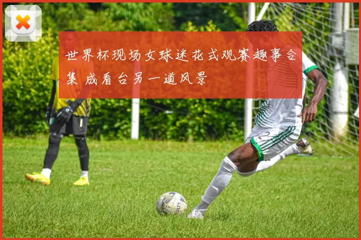 世界杯现场女球迷花式观赛趣事合集 成看台另一道风景